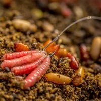 Guru LWG Feeder Special Spade End Barbed Hooks
